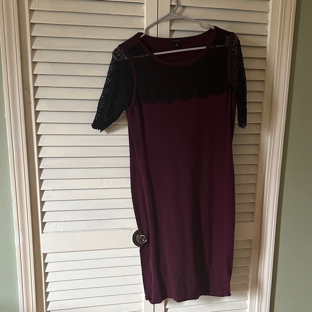 Ann Taylor Burgundy Lace Mini Dress